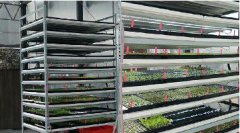 科技農(nóng)業(yè) 安全蔬菜 植物工廠規(guī)劃